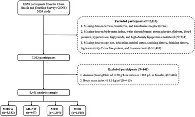 Ferritin, transferrin, and transferrin receptor in relation to metabolic obesity phenotypes: Findings from the China Health and Nutrition Survey